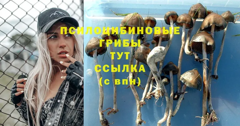 Псилоцибиновые грибы Psilocybine cubensis  OMG как войти  Муравленко  купить наркотики цена 